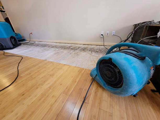 Professional Flood Damage Cleanup technician working in New Douglas, IL