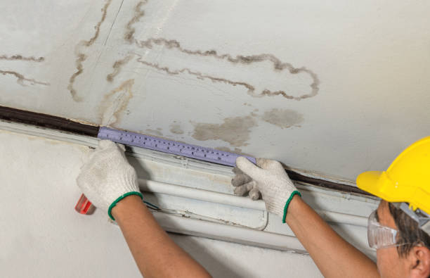 Affordable Flood Damage Cleanup solutions in New Douglas, IL